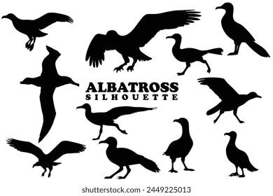 Albatross silhouette collection. Set of black Albatross silhouette. Albatross silhouette set.