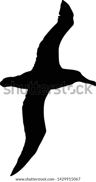 Albatross Silhouette Fly Vector Style Stock Vector Royalty Free 1429915067 
