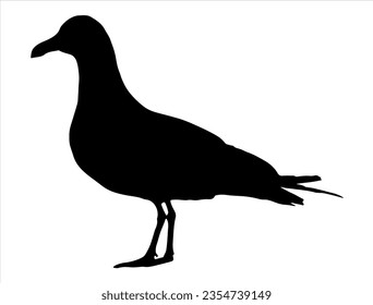 Albatross silhouette vector art white background