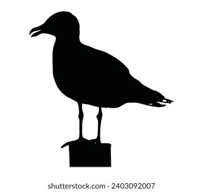 Albatross silhouette vector art white background.