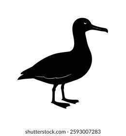 Albatross Silhouette Vector | Black and White Albatross Bird Illustration
