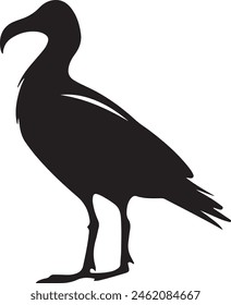 Albatross Silhouette Vector Illustration White Background