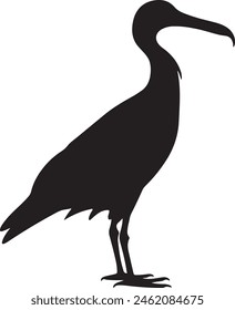 Albatross Silhouette Vector Illustration White Background