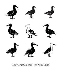 albatross  vector design . collection of albatross black and white.