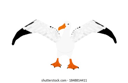 Ilustración vectorial de albatros aislada en fondo blanco. Propaga el símbolo de la gaviota de las alas. Silueta de ave grande marina.