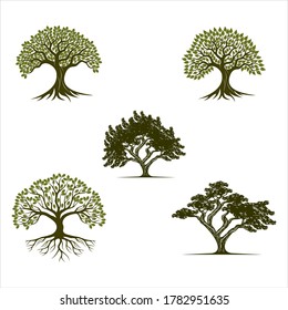 Albero vettoriale, abete, legno, quercia. Set di elementi di design del logo, badge, etichette e modelli di logotipo per la tua azienda, Green Oak Silhouette di un albero, Vector logo design