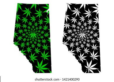 Alberta (provinces and territories of Canada) map is designed cannabis leaf green and black, Alberta map made of marijuana (marihuana,THC) foliage,