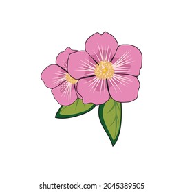 Alberta rose design illustration vector eps format , suitable for your design needs, logo, illustration, animation, etc.