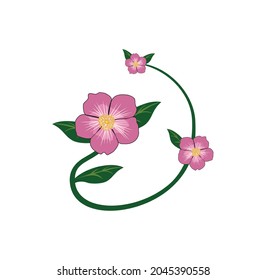 Alberta rose design illustration vector eps format , suitable for your design needs, logo, illustration, animation, etc.