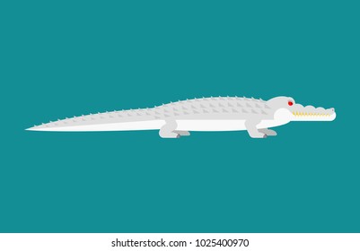 Albino alligator isolated. Crocodile White Monster. Predator animal. Vector illustration
