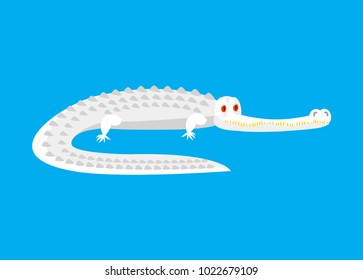 Albino Alligator isolated. White Crocodile with red eyes. Monster wild predator Vector illustration
