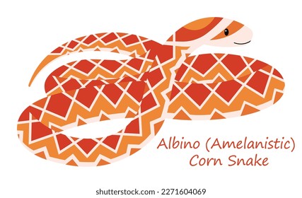 Albino (Amelanistic) Corn Snake (Pantherophis guttatus) cute animal in colorful cartoon style isolated on white background. Vector graphics. It is a color morph of corn snake with dark colors missing.