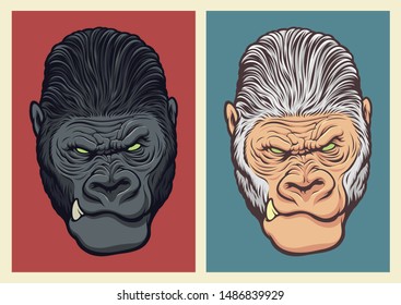 Albino gorilla illustration for design elements