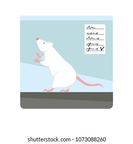 Albino lab rat with red eyes in transparent container