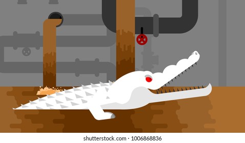 Albino Sewer alligator. Crocodile in sewerage. Predator animal. City legend. Vector illustration
