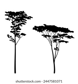 Albizia chinensis or commonly named silk tree silhouette collection