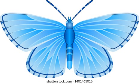 Albulina orbitulus blue butterfly vector image for web design and print