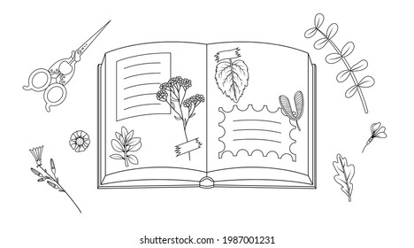 Album with dried leaves glued to the tape. Herbarium of leaves and flowers. Line art