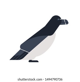 Alca torda bird flat vector illustration. Cartoon Razorbill isolated on white background. Lesser auk seabird dwelling in subarctic waters minimalist illustration. Abstract polar fauna.