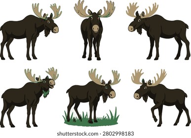 Alces Moose Head Logo Vector