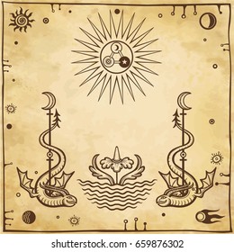 Alchemical drawing: winged snakes protect a flower. Esoteric, mystic, occultism. Symbols of the sun and moon. Background - imitation of old paper. Vector illustration.
