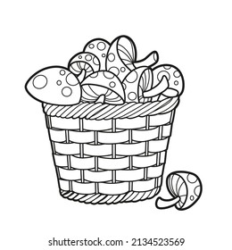 Alchemical ingredient poisonous fly agaric mushrooms in a large wicker basket outlined for coloring page on white background