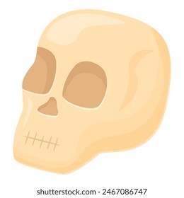 Icono de la calavera de Alquimista Vector de dibujos animados. Elemento de laboratorio. Energía del laboratorio de la muerte