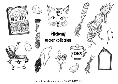 Alchemy. Book, roots, flowers, stones, magic cauldron, constellations, tag, cup, moon phases. Vector graphic illustration on white isolated background