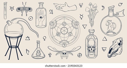 Alchemy set. Hand drawn set of alchemical bottles, circle and symbols. Insects. Skulls. Magic vector set with test tube, glass flasks, jars,  insects and skulls. Chemystry, sience, esoteric, occult