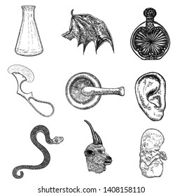 Alchemy symbol elements set. Spirituality, occultism and chemistry, magic tattoo sketch. Mortar, pestle, human ear, bat wing, surgical tool, snake, bottle with potion, embryo. Hand drawing Vector.