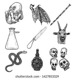 Alchemy symbol elements set. Spirituality, occultism and chemistry, magic tattoo sketch. Human skulls, ear, vampire bat wing, surgical tool, snake, bottle with potion, human embryo hand drawing vector