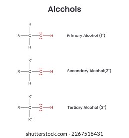 Alcohol Biochemistry Functional Group vector infographic