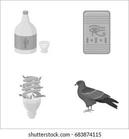 alcohol, lighting and other monochrome icon in cartoon style.history, animal icons in set collection.