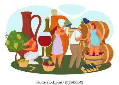 Alcohol making at vineyard, vector illustration. Flat man woman character pick grape harvest, winery production, female person make press process