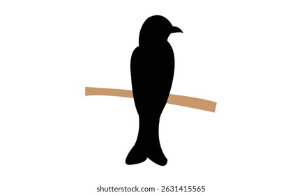 Aldabra drongo bird Silhouette Design  And Vector Illustration. 