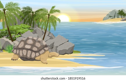 Aldabra Riesenschildkröte am Ufer einer tropischen Insel mit weißem Sand und Palmen. Aldabrachelys gigantea. Tier der Inseln des Pazifischen Ozeans. Realistische Vektorlandschaft