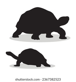 Aldabra Giant Tortoise Silhouetten und Symbole. schwarz flache Farbe einfache elegante Aldabra Riesen Tortoise Tier Vektorgrafik und Illustration.