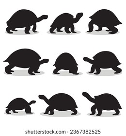 Silhouettes y iconos de Aldabra Giant Tortoise. negro de color plano simple elegante Aldabra Giant Tortoise vector animal e ilustración.