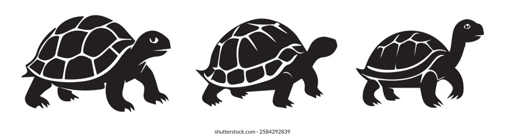 Aldabra Giant Tortoise silhouettes and icons. Simple elegant Aldabra Giant Tortoise animal vector and illustration. Eps 10