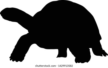 Tortoise Silhouette Images, Stock Photos & Vectors | Shutterstock