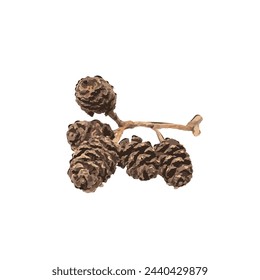 Alder Cones Icon, Alnus Cone Symbol, Dry Plant Branch Sign, Dry Alder Twig Silhouette Isolated on White Background, Vector Illustration