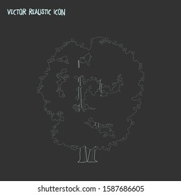 Alder icon line element. Vector illustration of alder icon line isolated on clean background for your web mobile app logo design.