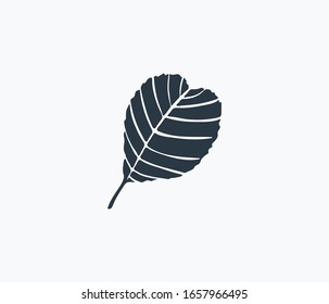 Alder leaf icon isolated on clean background. Alder leaf icon concept drawing icon in modern style. Vector illustration for your web mobile logo app UI design.