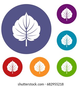 Alder leaf icons set in flat circle red, blue and green color for web