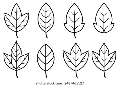 Alder Leaf line art artistic representation of alder leaf beauty