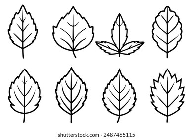 Alder Leaf line art celebrating the beauty of delicate alder foliage