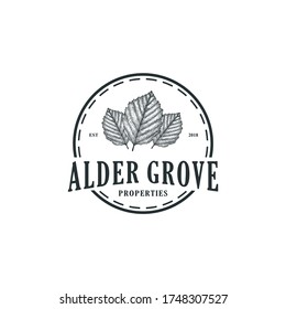 Alder leaf logo on clean background. Alder leaf logo concept drawing icon in vintage style. 