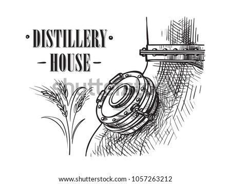 alembic still for making alcohol inside distillery, destilling spirits sketch