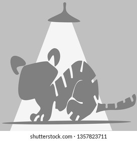 Alert Cat Vector Illustration