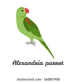 Alexandria parrot color flat icon for web and mobile design